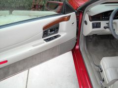 Driver's Door Panel