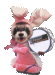 :bunny: