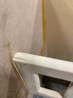 IMG_0135.jpeg.6ecc27e087aa26cfe21950fba8b49dce.jpeg