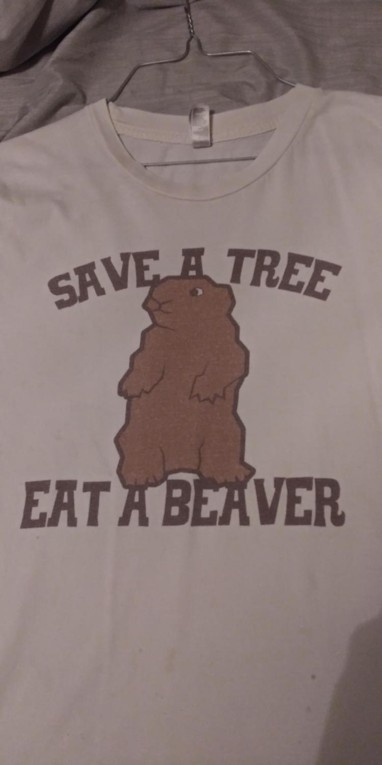 Beaver.jpg