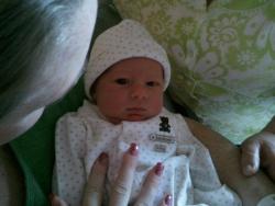post-1-0-20258000-1323572012_thumb.jpg